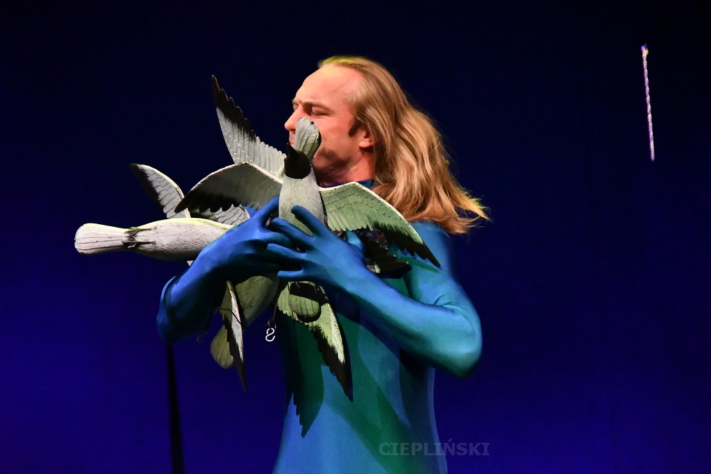 Na scenie aktor w niebieskim kostiumie opinającym ciało, trzyma drewniane ptaki.