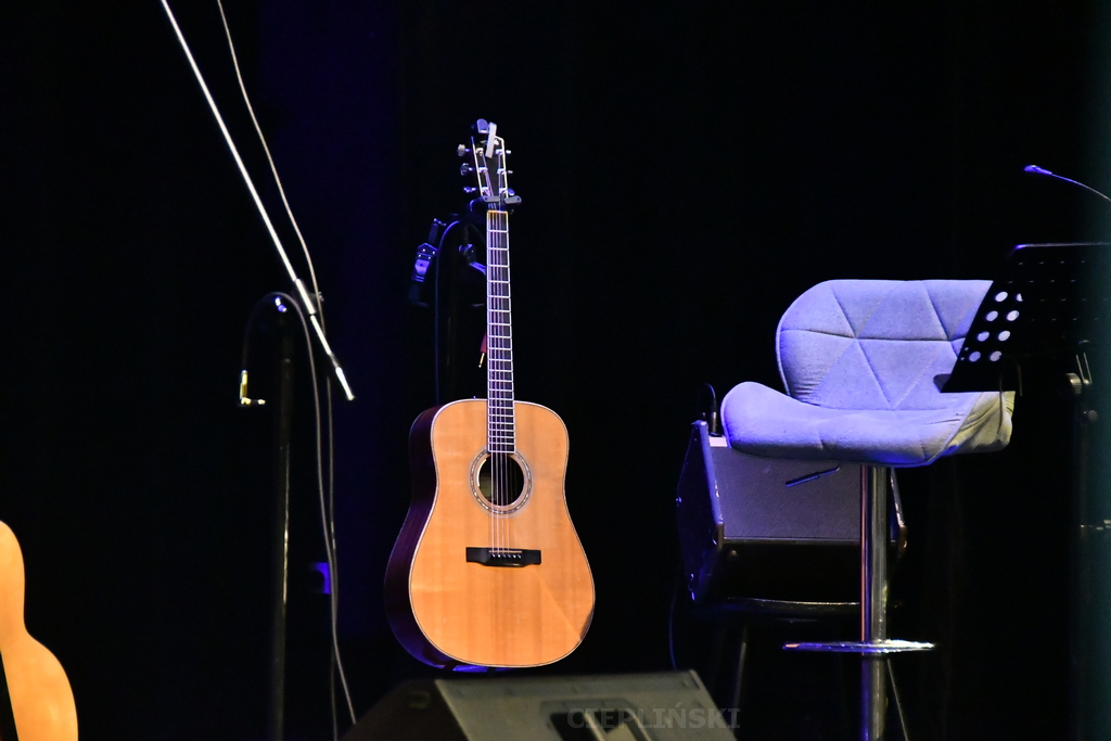 Fotel, mikrofon i gitara.